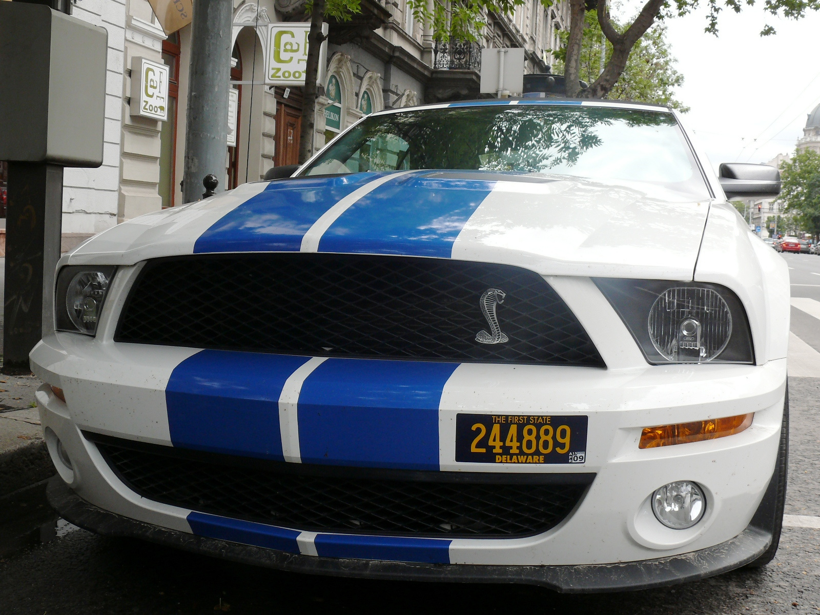Shelby Mustang GT 500 Convertible