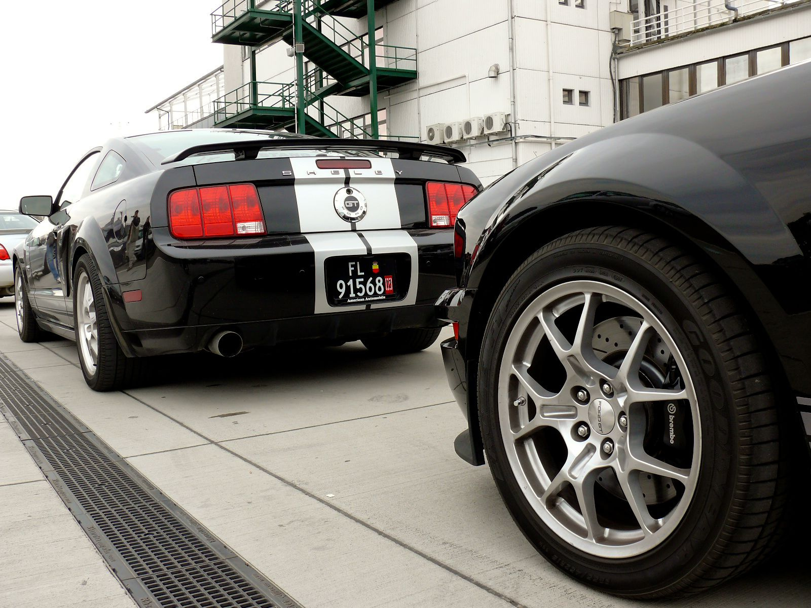 Shelby GT 500 - Shelby GT 500 combo