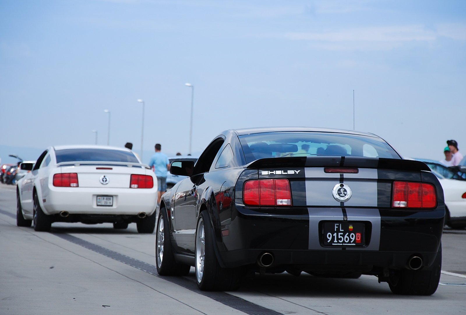 Shelby GT500 - Ford Mustang combo