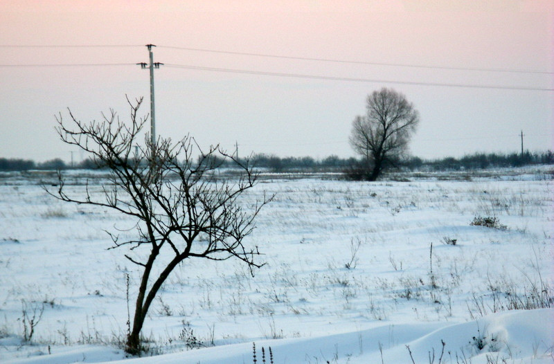 Tél 2010. 019