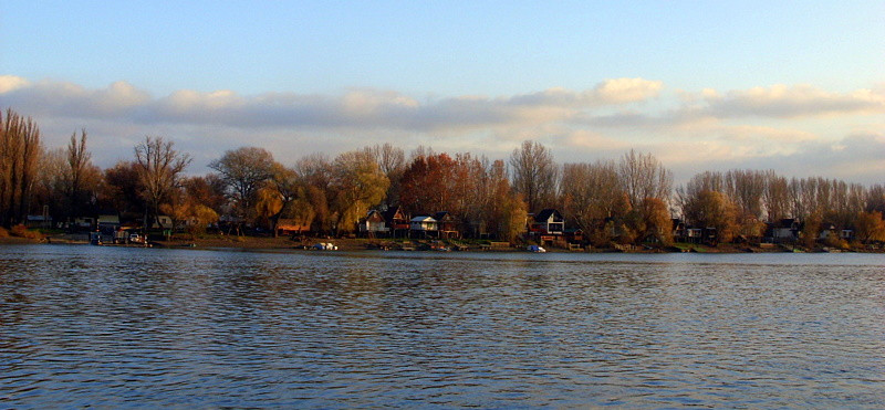 Novemberi Tisza