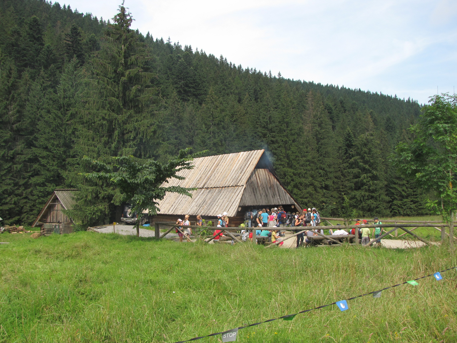 Tátra Nemzeti Park, Dolina Kościeliska, sajtfüstölő, SzG3