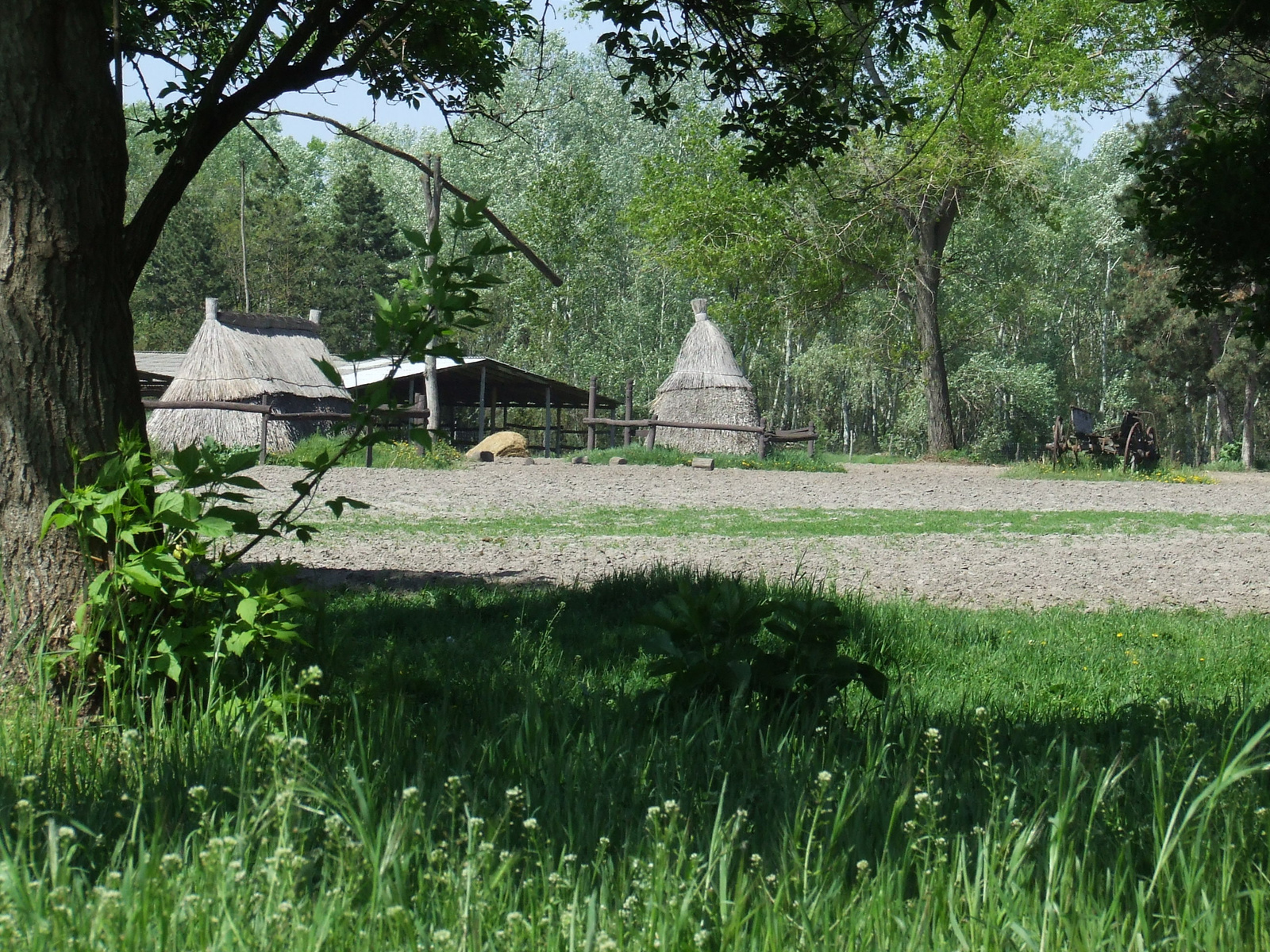 Puszta