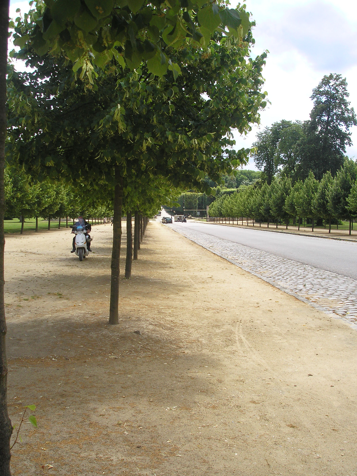 csendélet versailles-ban