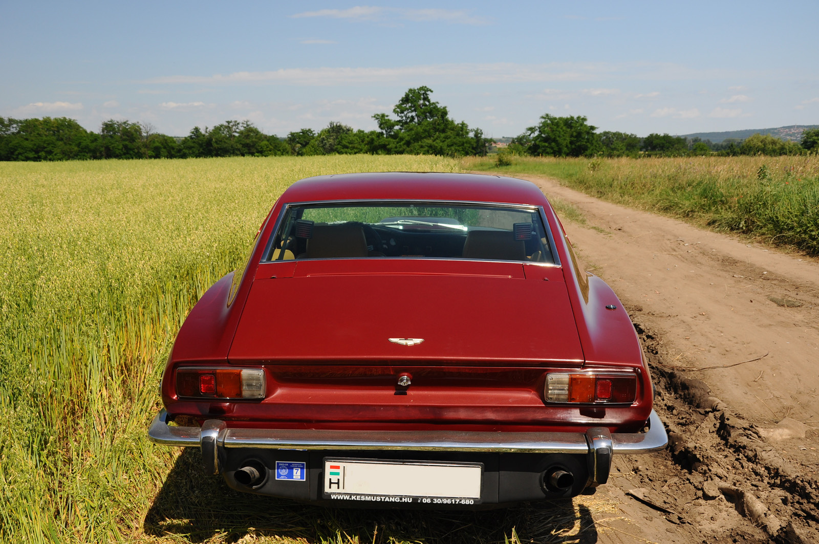 Aston Martin V8