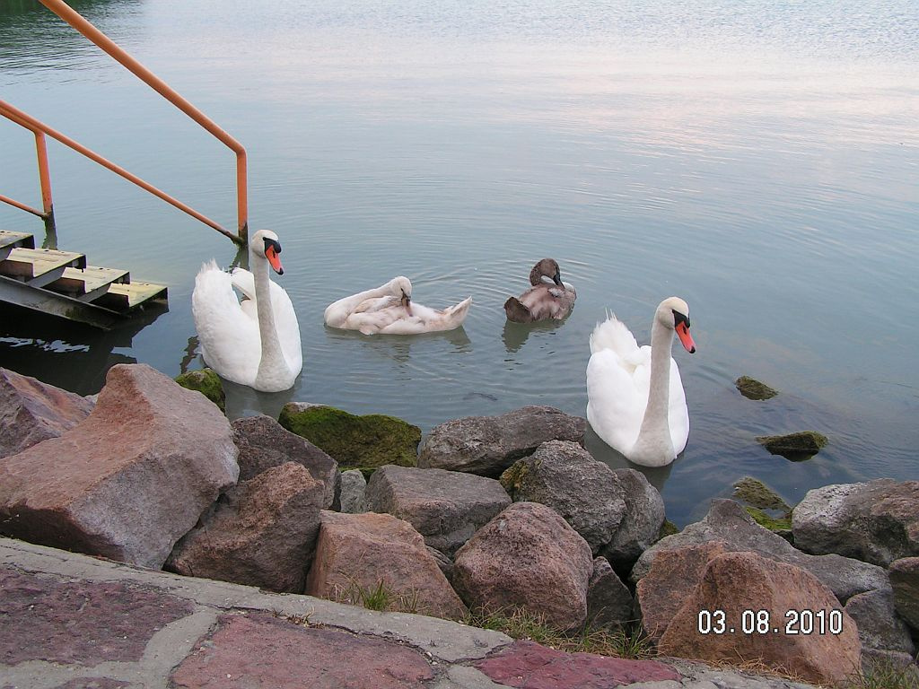 Balaton 2010-1 008