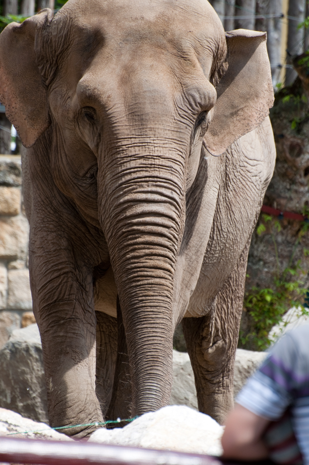 zoo2010-0129