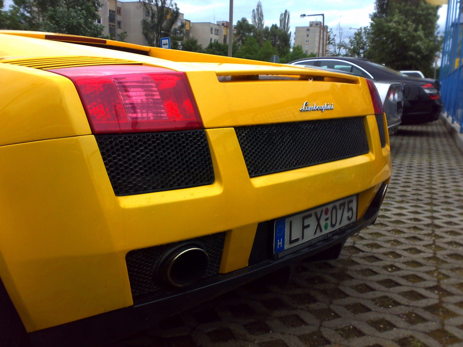 Lamborghini and Corvette