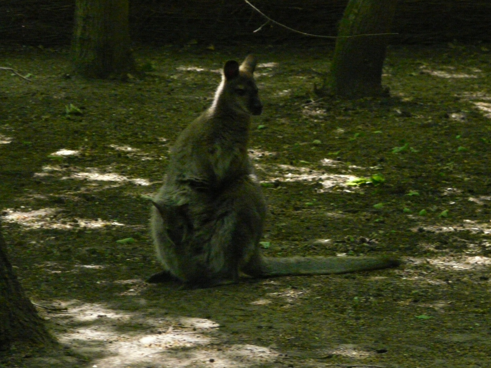 Osztálykirándulás 2009 092