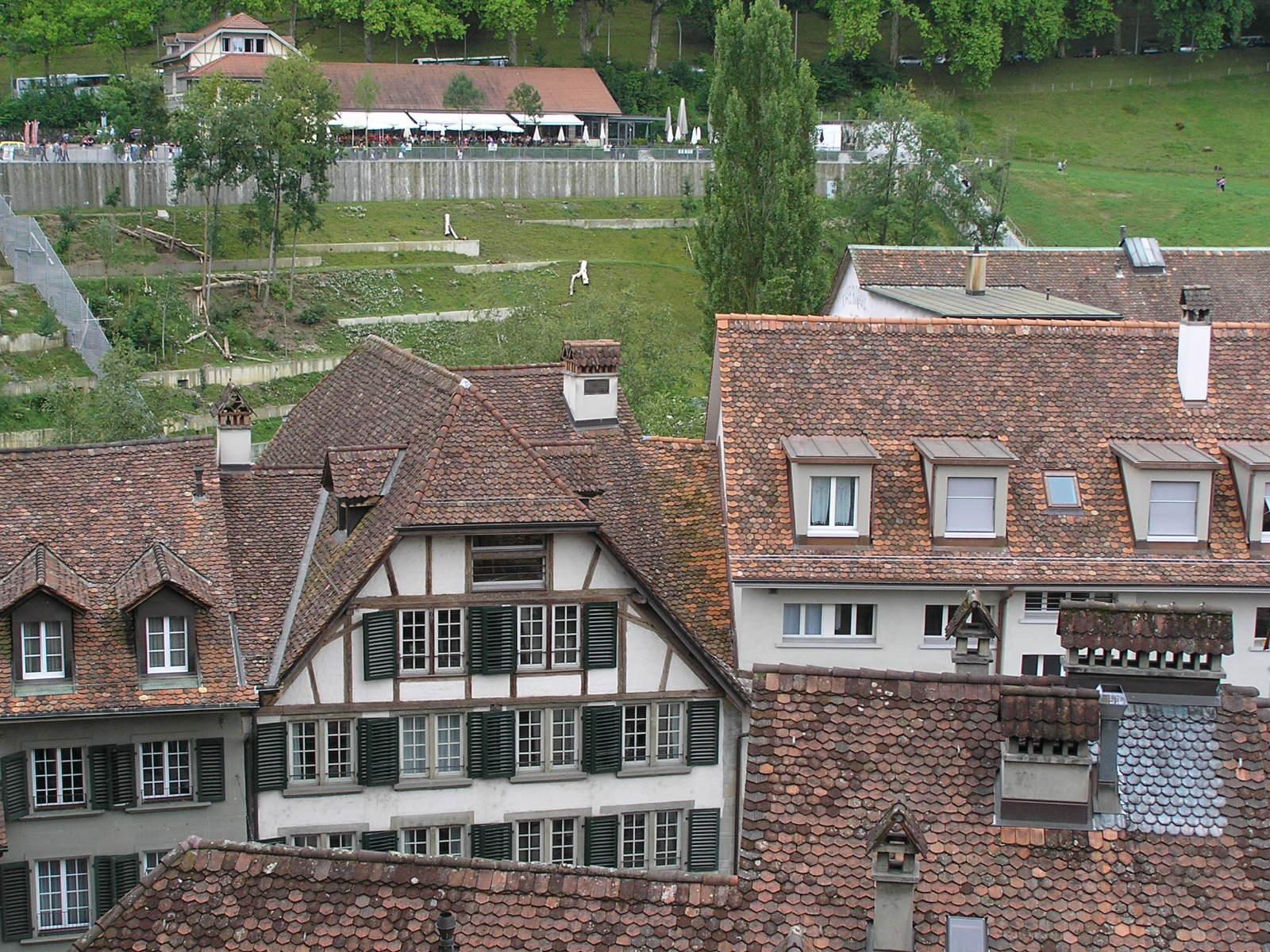 0 681 Bern az új mackópark a zöldterület