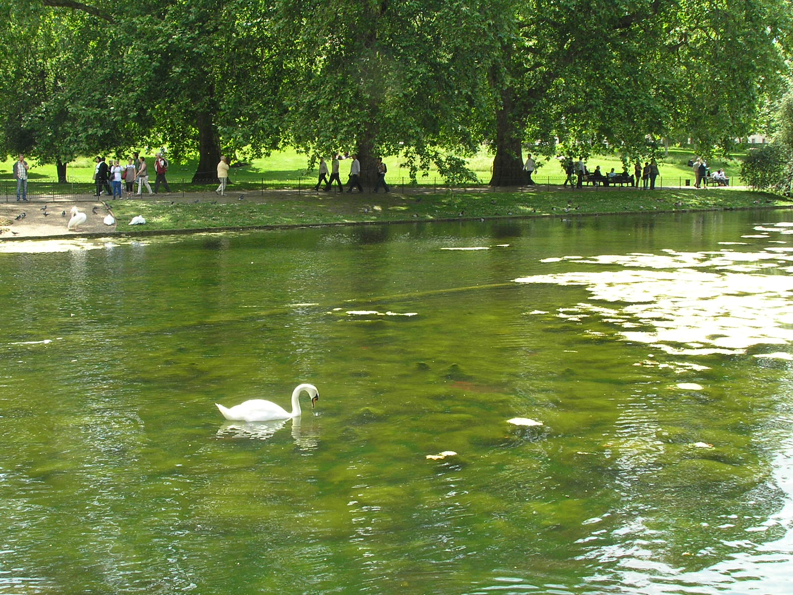 London 076 St. James park