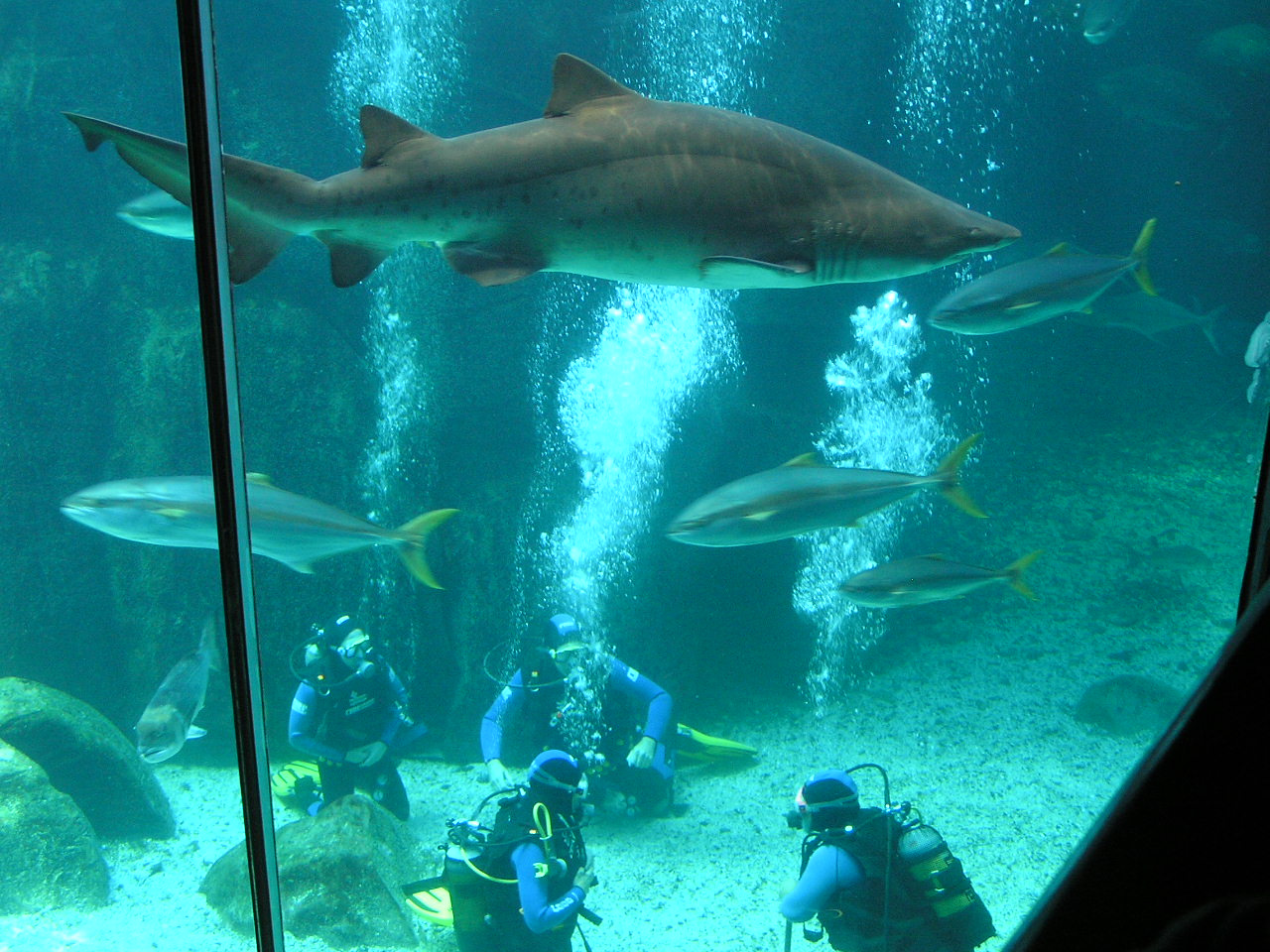 065 Cape Town Aquarium