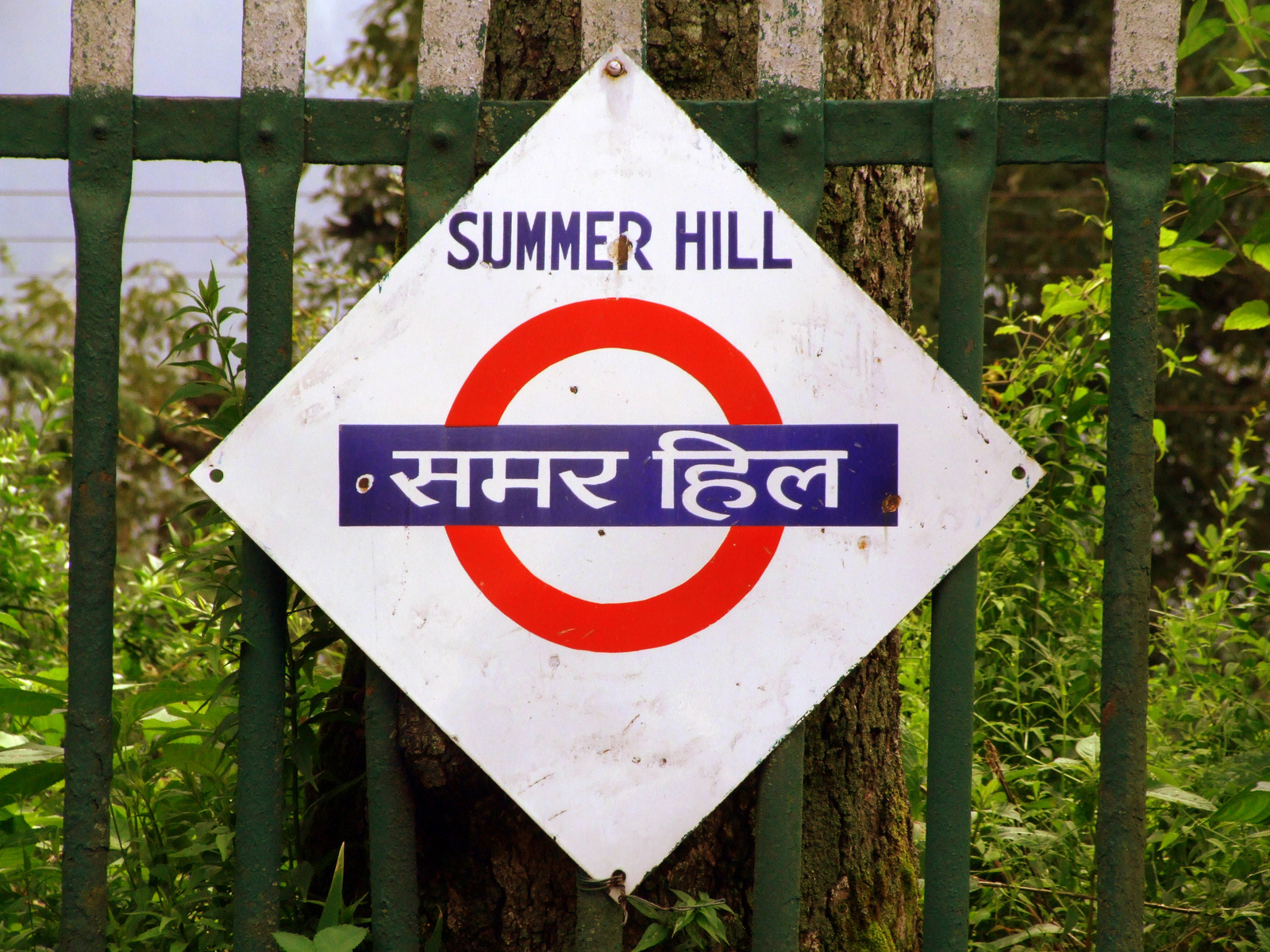 Shimla - Utazás a kisvasúton - Summer Hill
