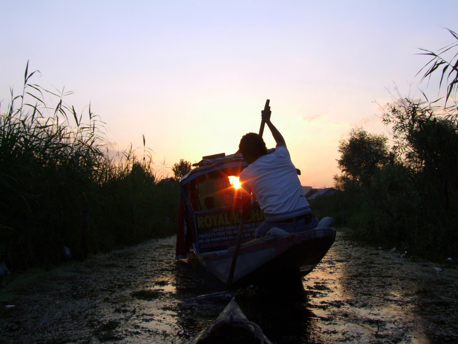 Srinagar: Dal lake