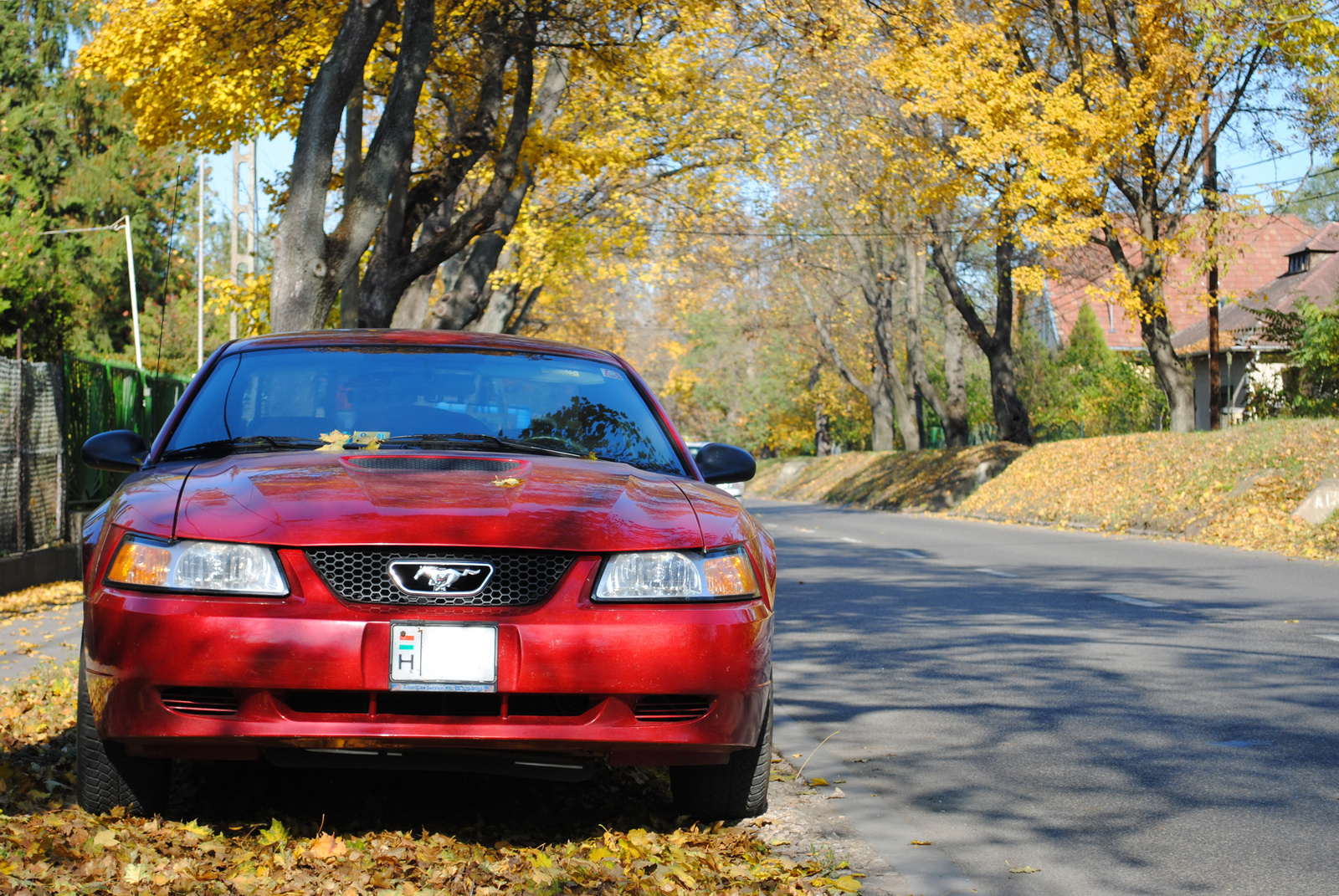 Ford Mustang