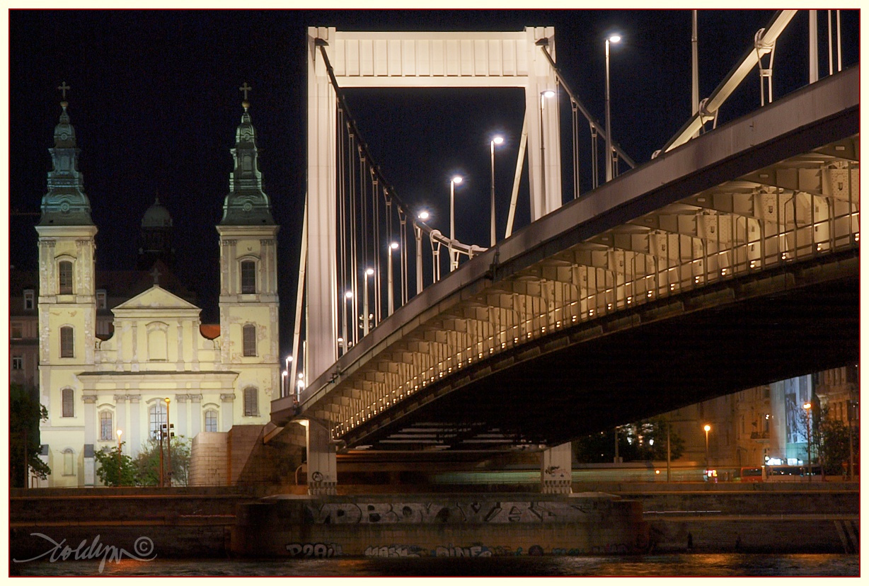 Erzsébet híd VI