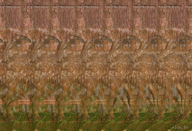 3d-kepek-sztereogram stereogram 00096