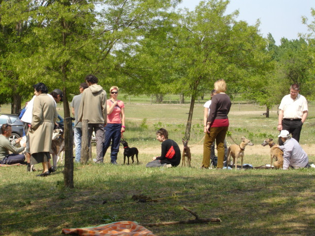 2009 0503 coursing 004