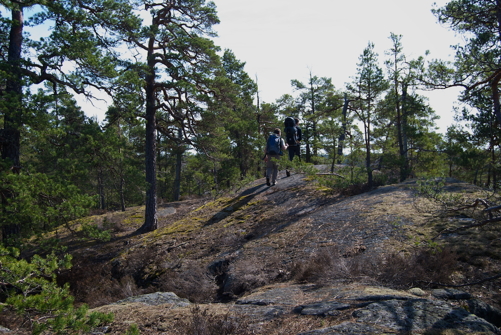 Tyresta nemzeti park - Fornborg - Viking rom