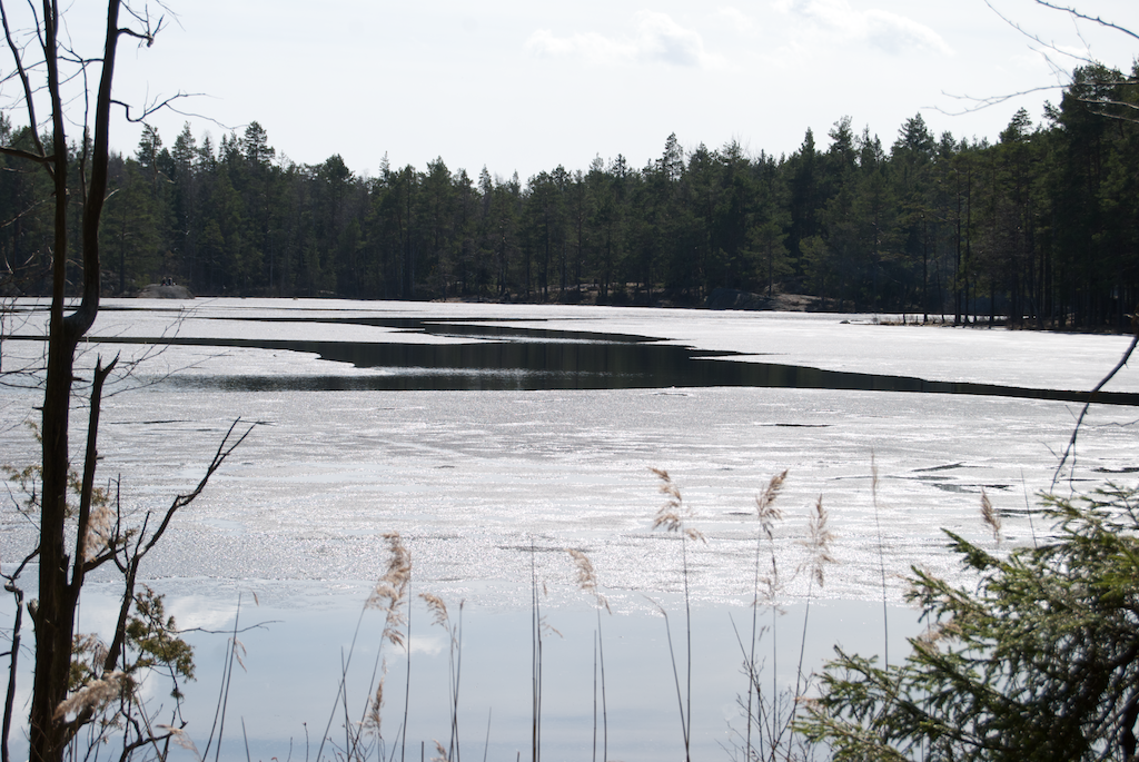 Tyresta nemzeti park - arsjön