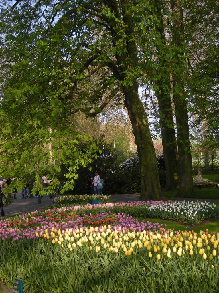 Keukenhof