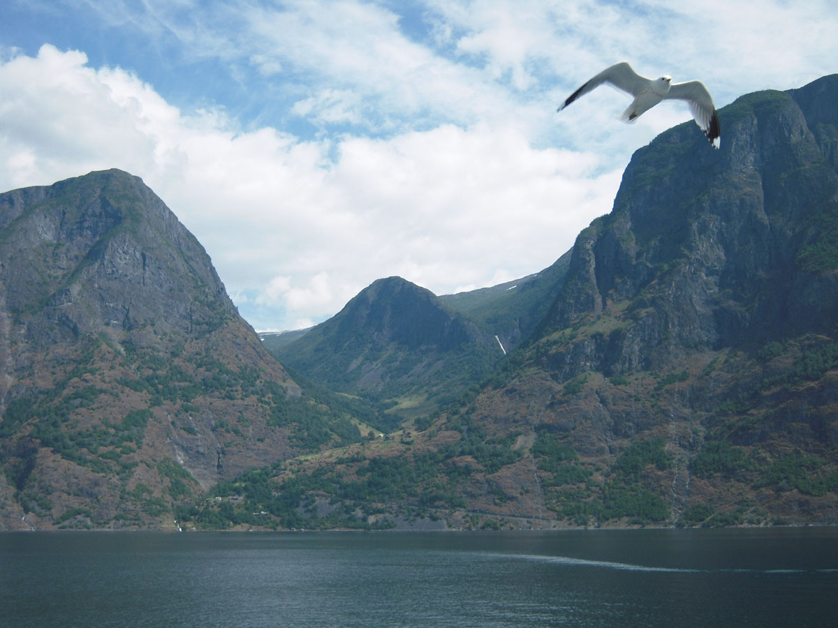 Naeroyfjord