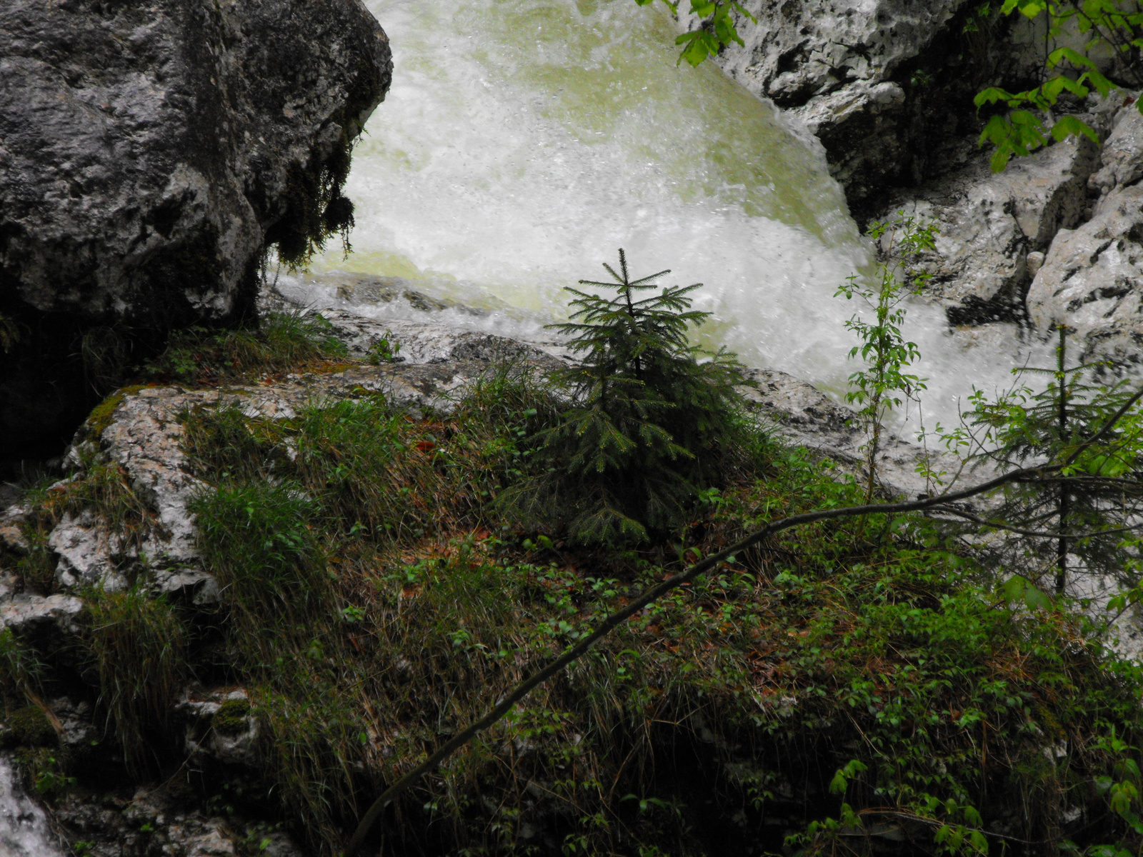 2010 0506 Slovenia 0055