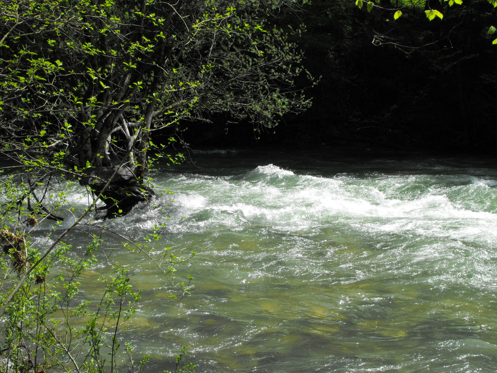 2010 0506 Slovenia 0179