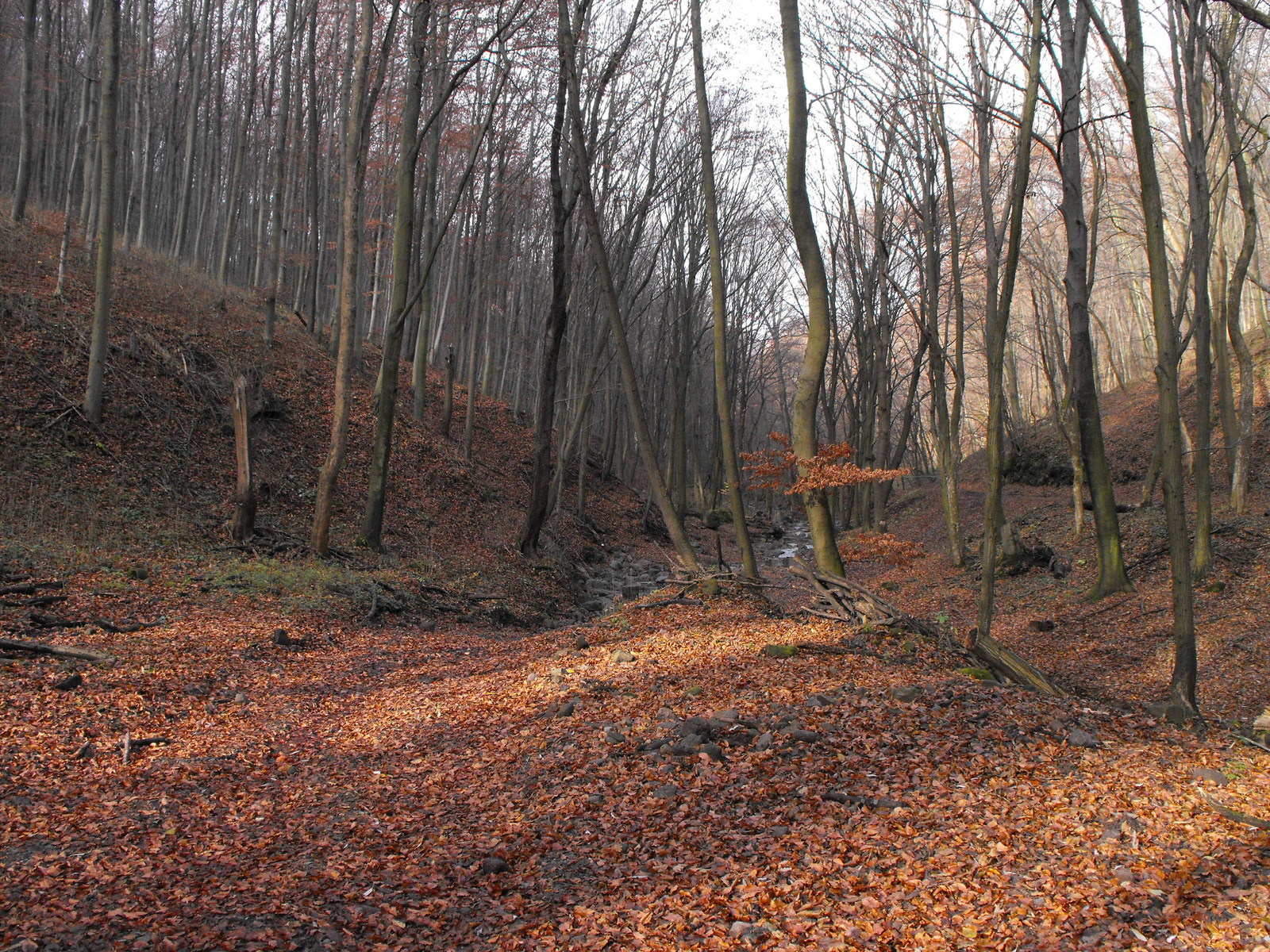 2010 1113 Visegrad 0010