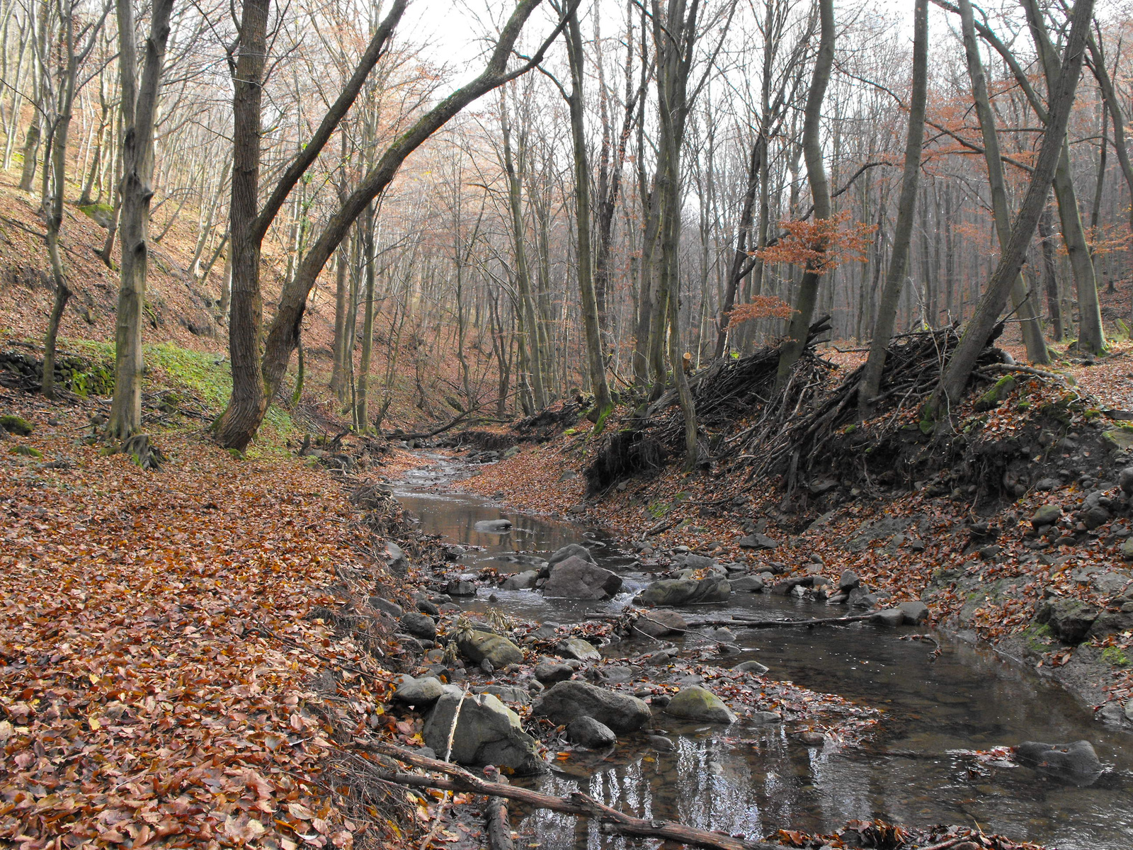 2010 1113 Visegrad 0017