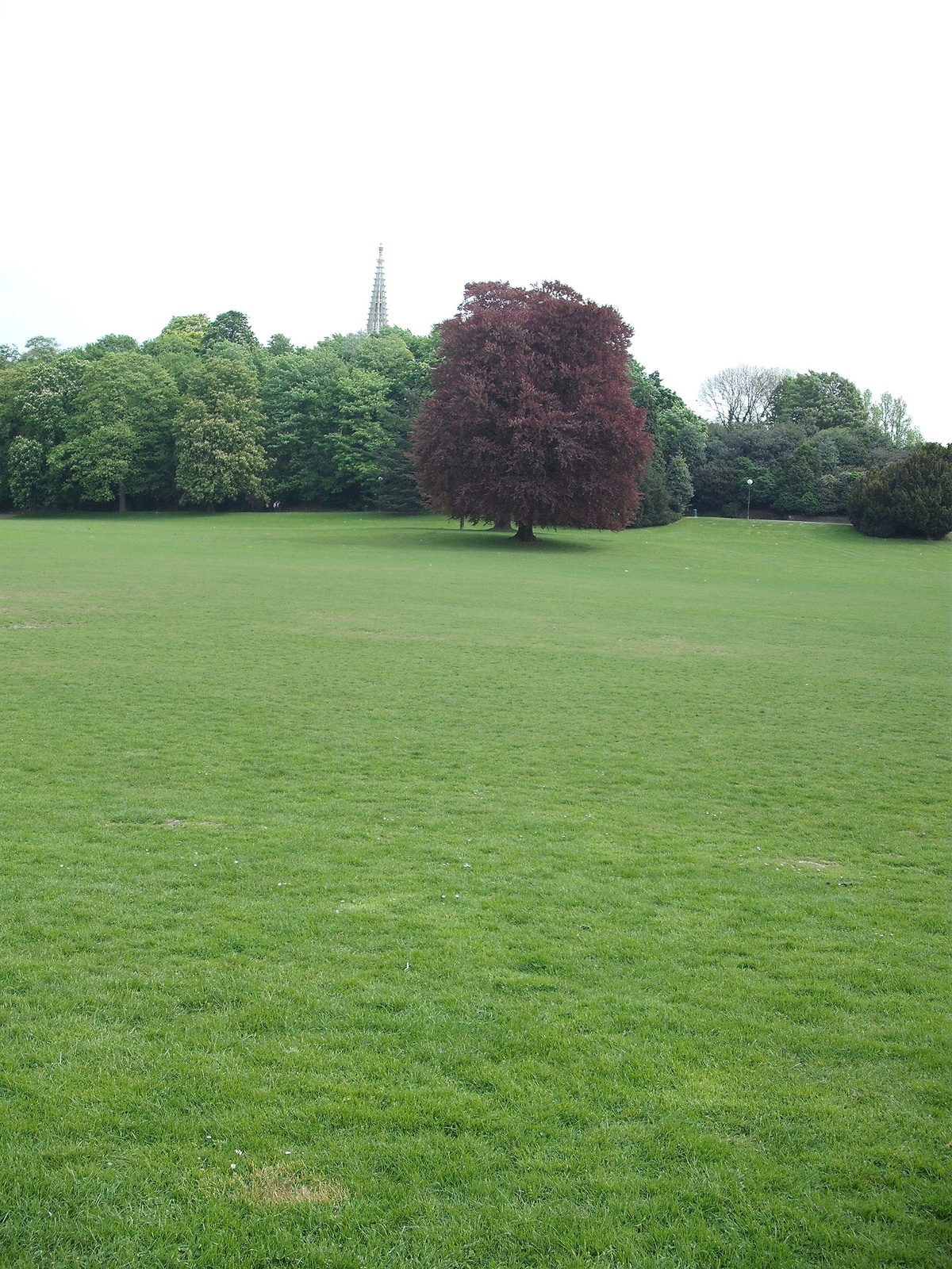 Parc de Laeken/Park van Laken