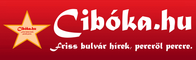 ciboka logo 196x60.png