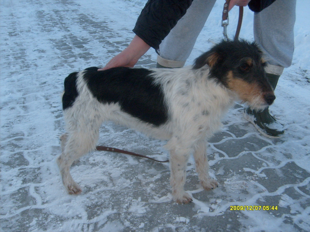 VINCE-Mezőlak20091221