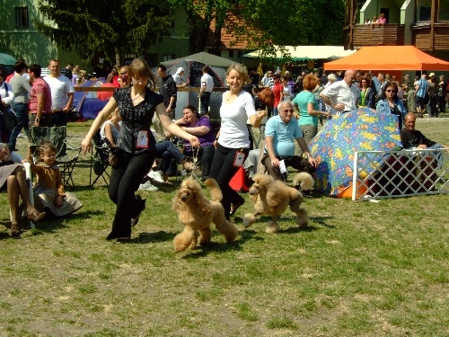 Szilvasvarad 2011 135