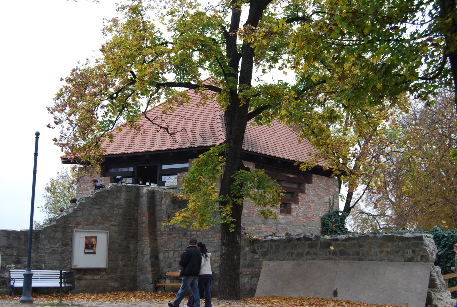 DSC 0050