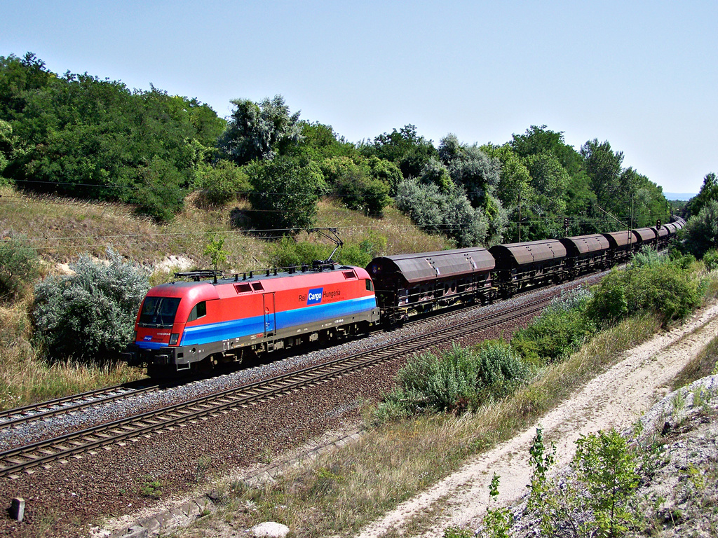 1116 049 - 6 Szár (2011.07.16)