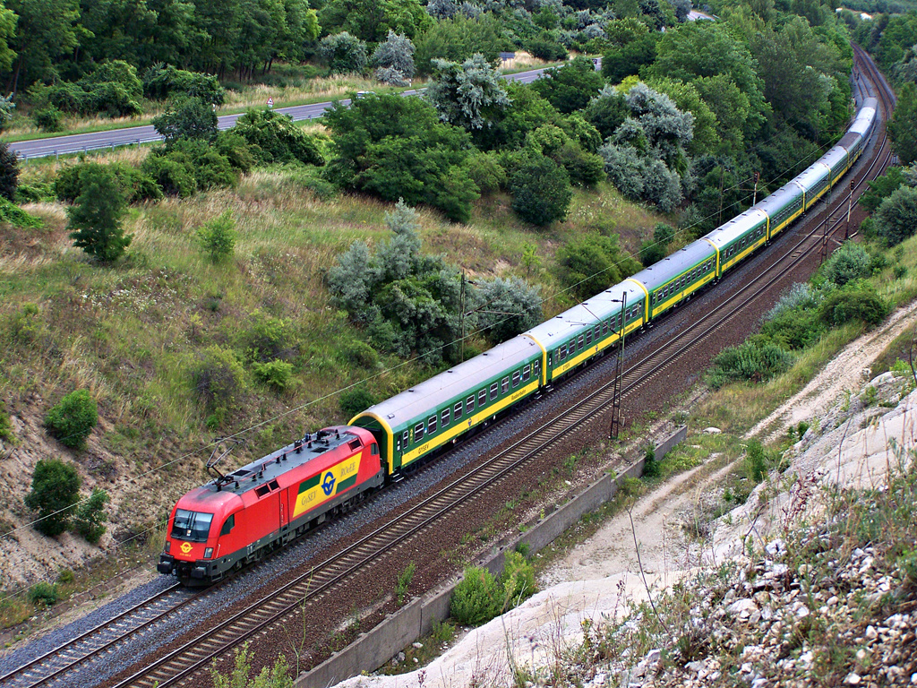 1116 065 - 2 Szár (2011.07.03)