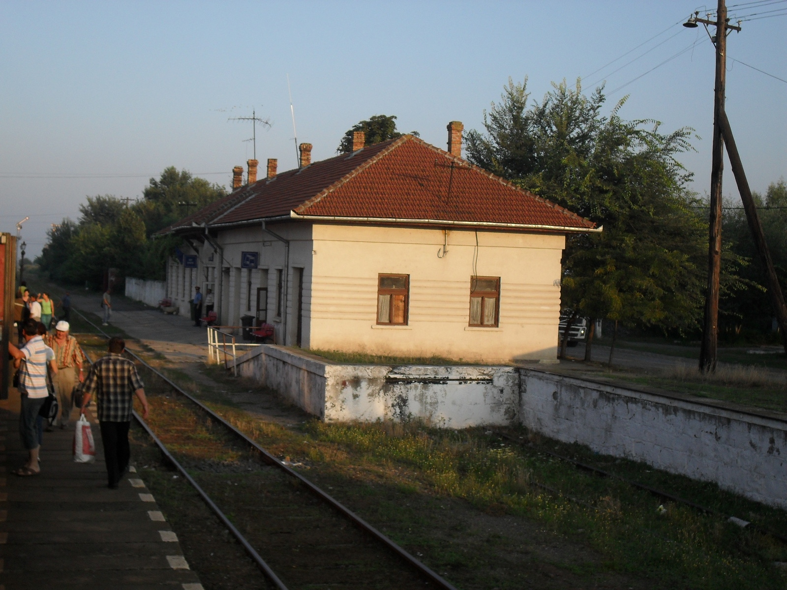 Gyertyámos (Carpinis)