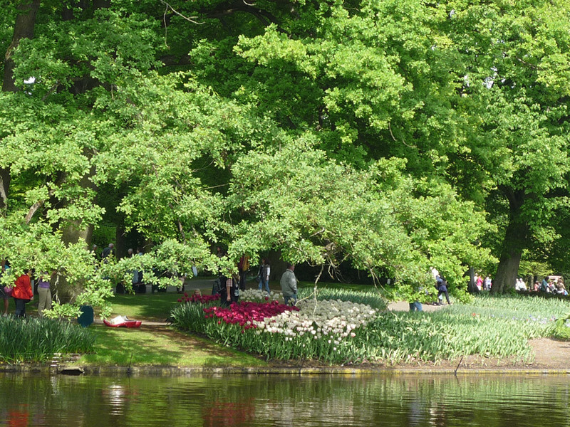 keukenhof 7