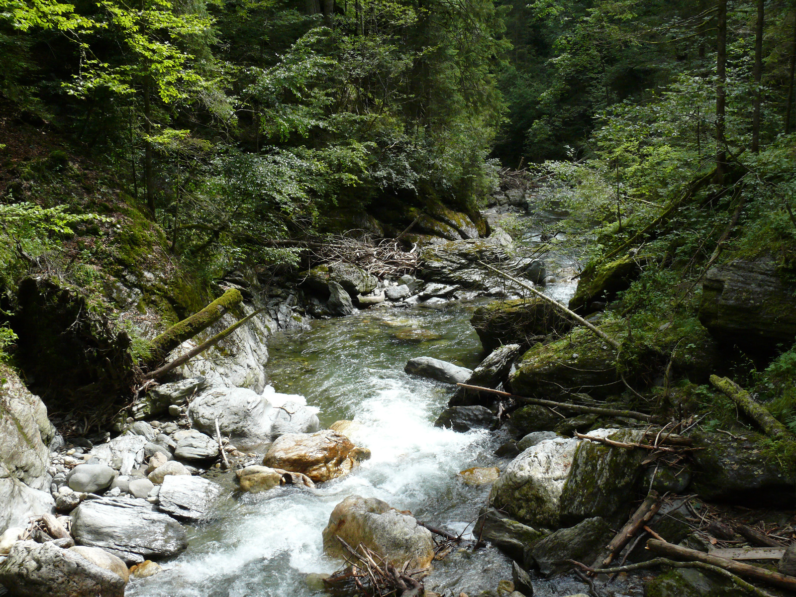 Donnersbachklamm (39)