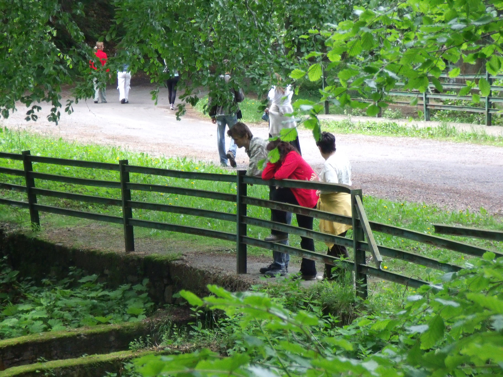 Vihorlát, 2010.05.28-30. 067