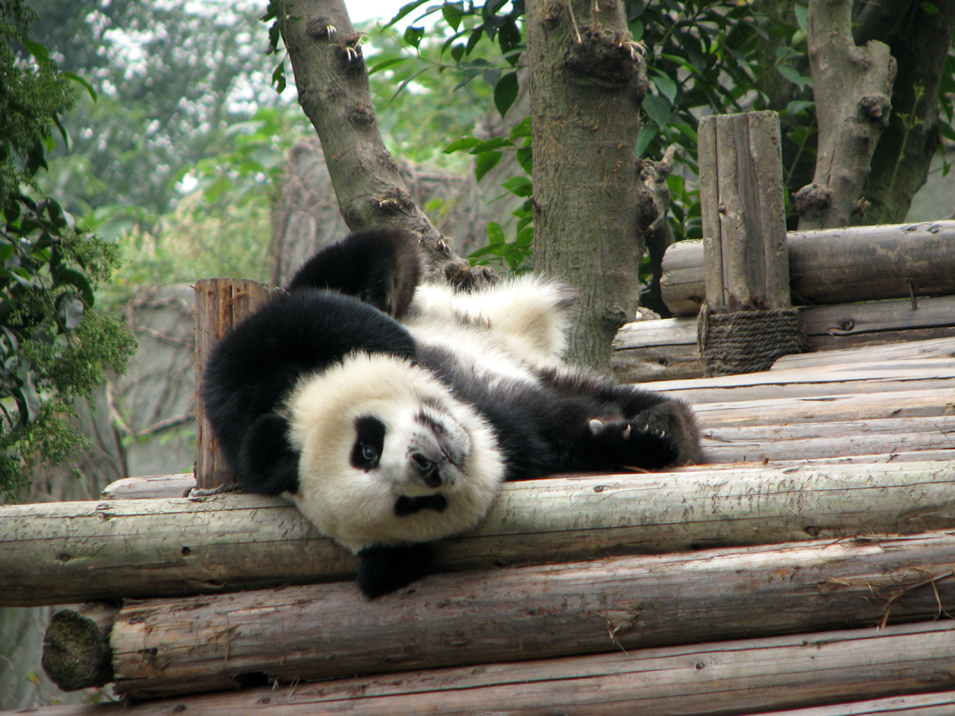 2010.10.07. Chengdu 成都