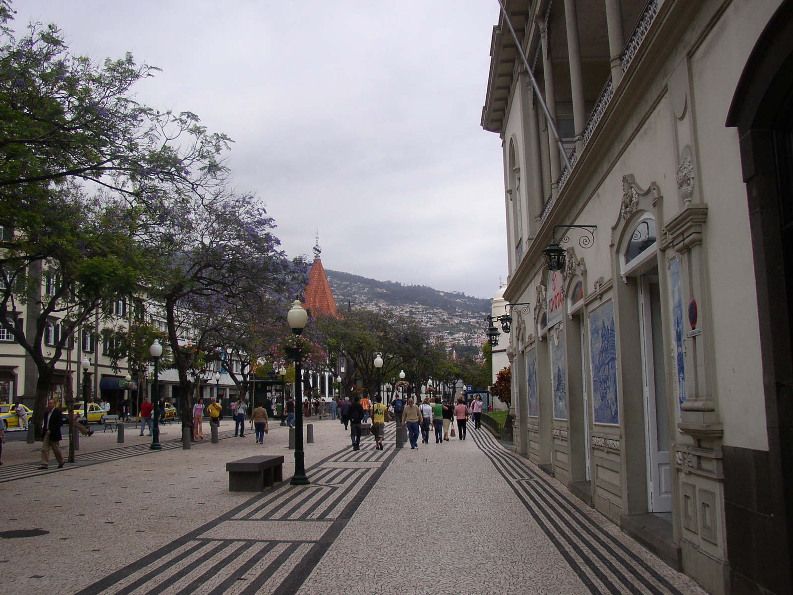 madeira2007 010