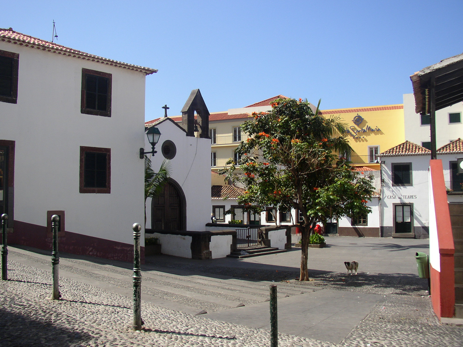 madeira2007 166