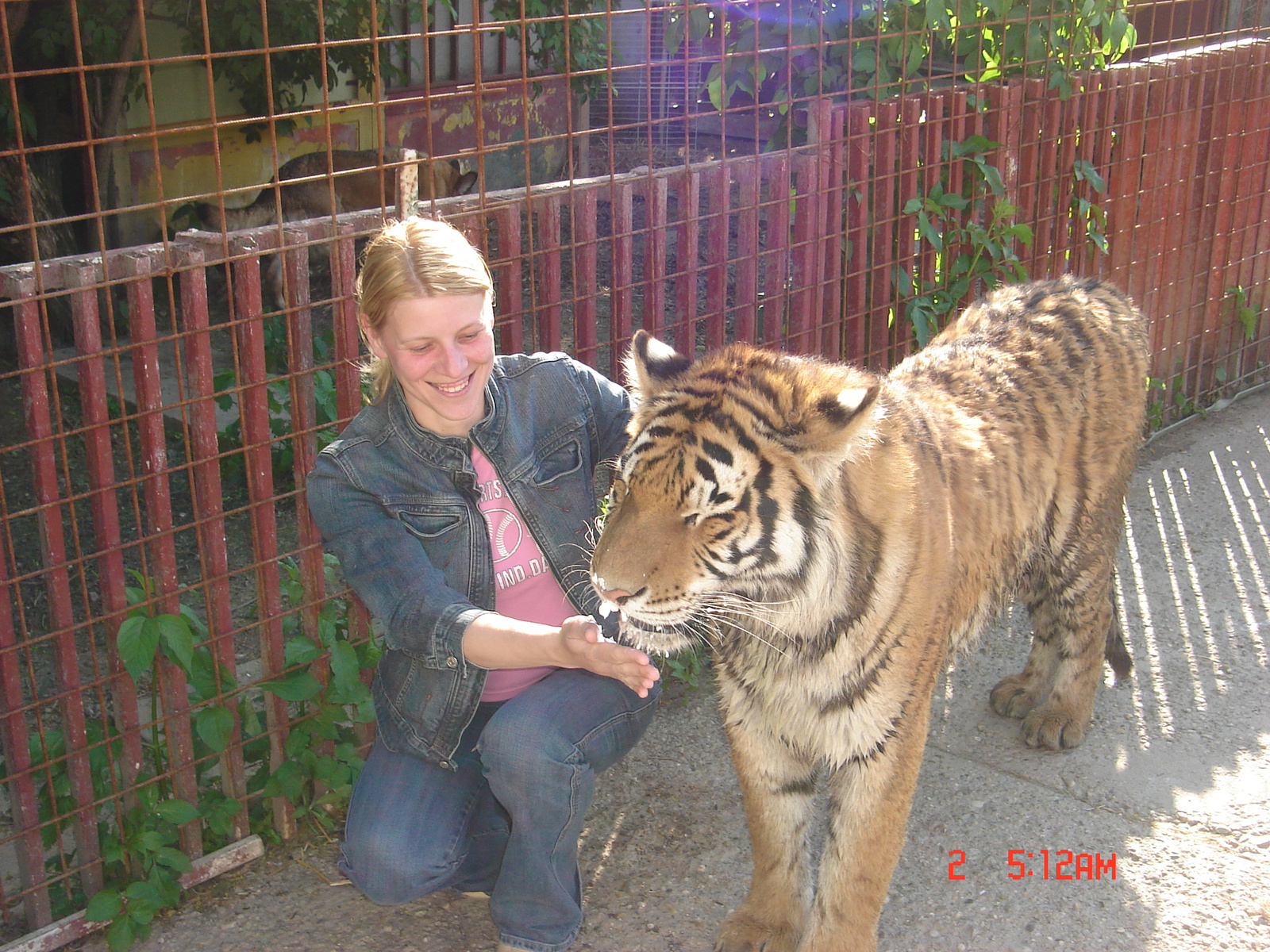 Angi & Tigris 01