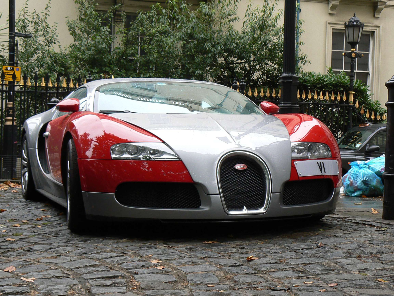 (7) Bugatti Veyron