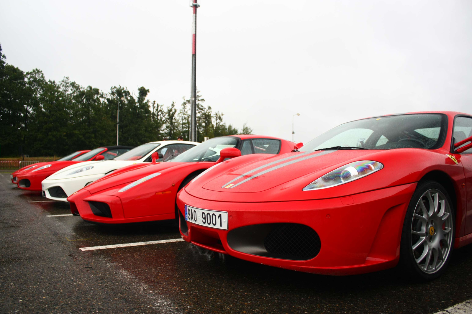Ferrari F430 & Enzo & F430 Scuderia & F430 Spider