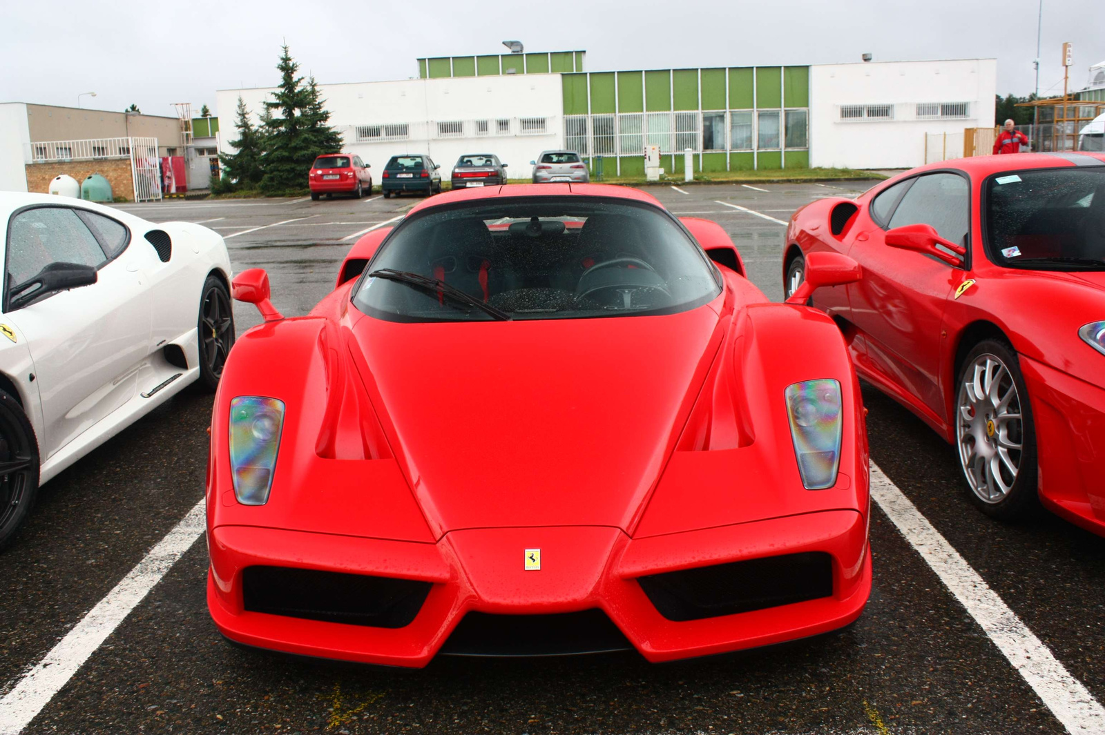 Ferrari Enzo