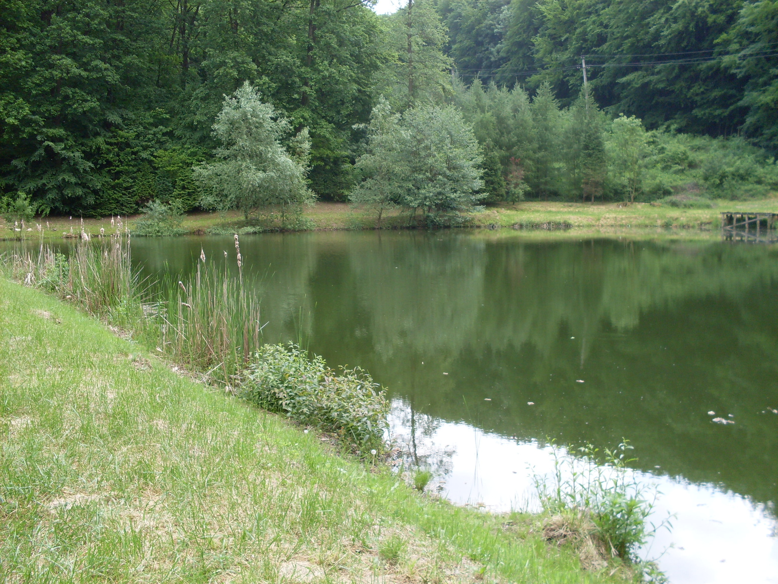 Vértesszőlős és Agostyán arborétum 157