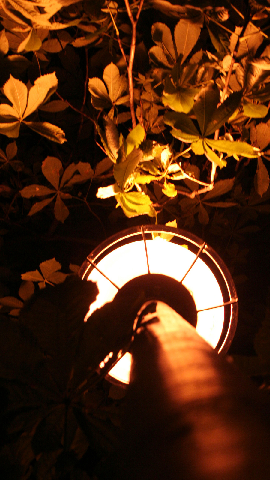 Lámpaoszlop-Lamppost